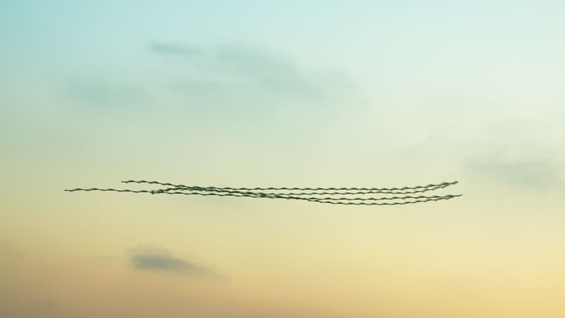 Illustration for article titled You've Never Seen Birds Fly Like This Before